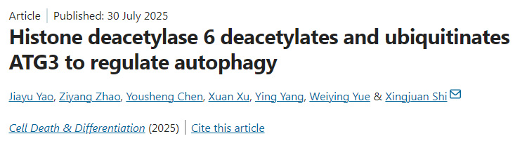 組蛋白去乙?；?通過去乙?；头核鼗揎桝TG3以調(diào)節(jié)自噬作用