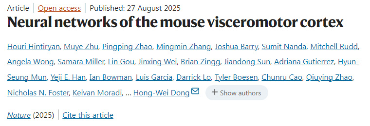 小鼠內(nèi)臟運(yùn)動(dòng)皮層的神經(jīng)網(wǎng)絡(luò)