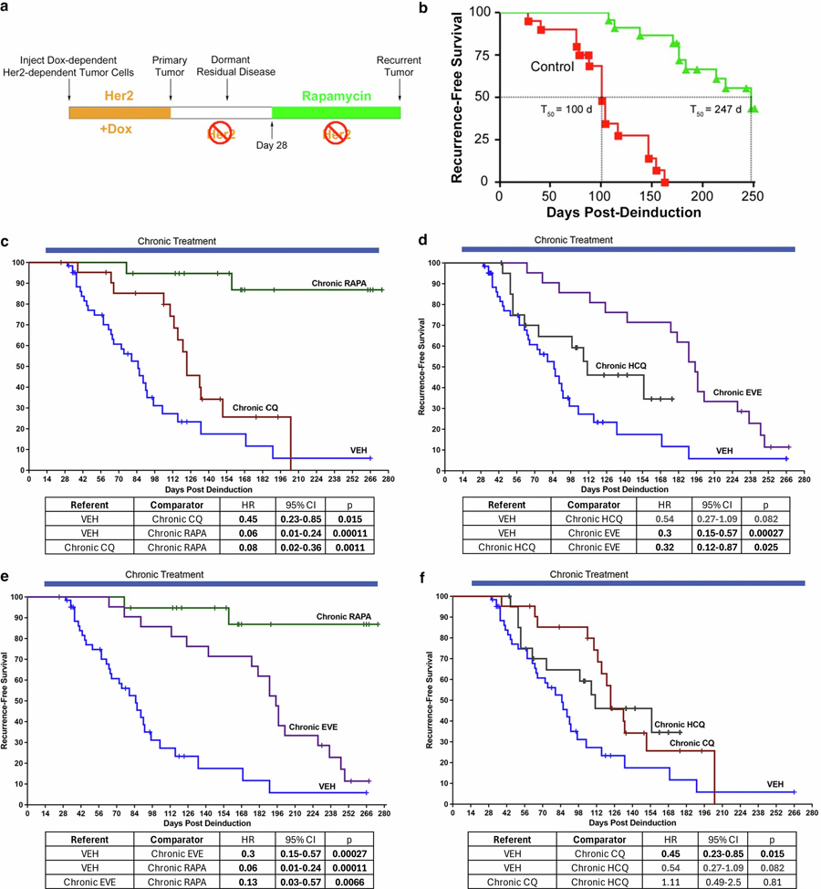 在小鼠CLEVER臨床前研究中，經(jīng)試驗藥物長期給藥后的無復發(fā)生存結(jié)局