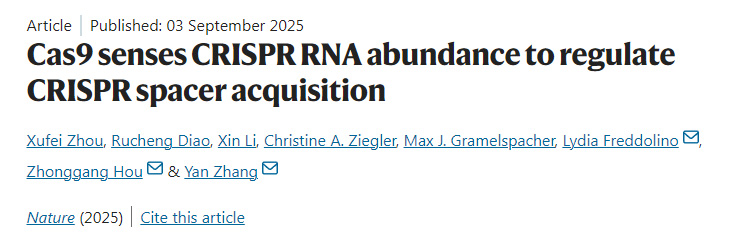 Cas9通過(guò)感知CRISPR RNA豐度來(lái)調(diào)控CRISPR間隔序列的獲取