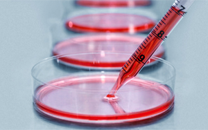 細(xì)胞培養(yǎng)基，撐起生物醫(yī)藥的半壁江山