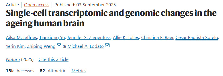 人類大腦衰老過(guò)程中的單細(xì)胞轉(zhuǎn)錄組與基因組變化