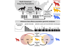 Cell：參考基因組的選擇會(huì)影響遺傳研究的結(jié)果