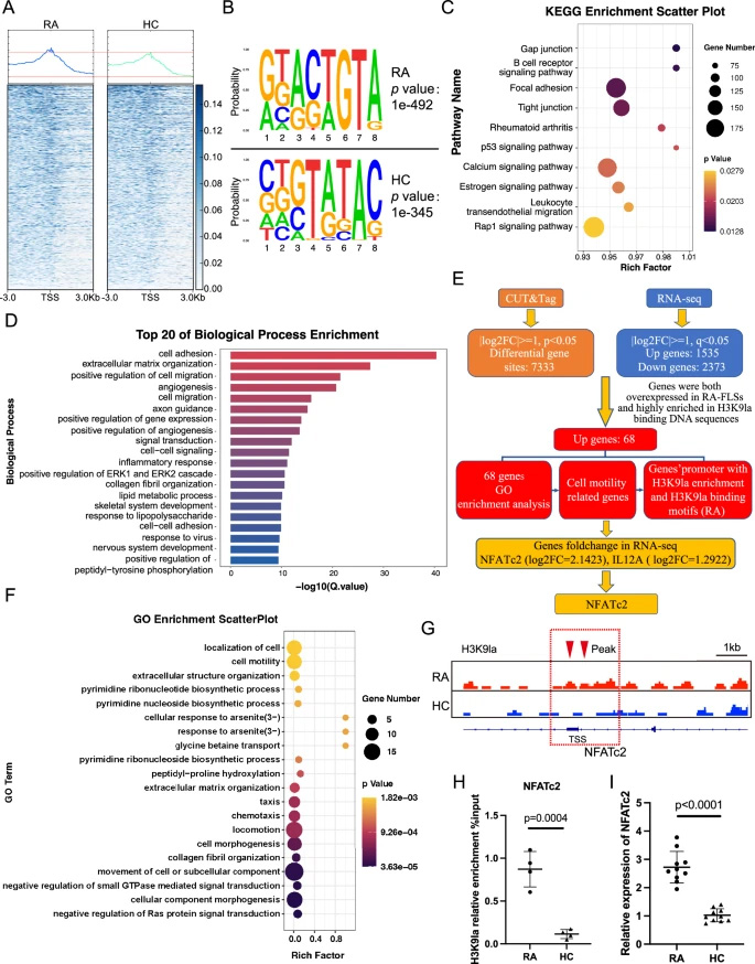 運用CUT&Tag與RNA-seq技術篩選H3K9乳酸化修飾在類風濕關節(jié)炎成纖維樣滑膜細胞中調控的靶基因 運用CUT&Tag與RNA-seq技術篩選H3K9乳酸化修飾在類風濕關節(jié)炎成纖維樣滑膜細胞中調控的靶基因