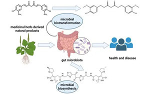 Science：逆轉(zhuǎn)錄元件會(huì)影響人類腸道微生物組