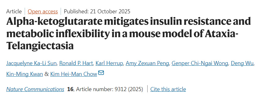 α-酮戊二酸緩解共濟失調-毛細血管擴張癥小鼠模型的胰島素抵抗與代謝僵化