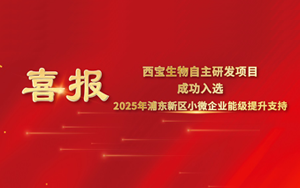 喜報 | 西寶生物“可拉酸”項(xiàng)目成功入圍2025年浦東新區(qū)小微企業(yè)提升能級項(xiàng)目，喜獲專項(xiàng)支持