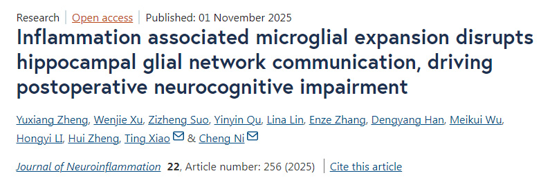 炎癥相關的小膠質(zhì)細胞擴增會破壞海馬區(qū)膠質(zhì)細胞網(wǎng)絡的通信，進而引發(fā)術(shù)后神經(jīng)認知功能障礙