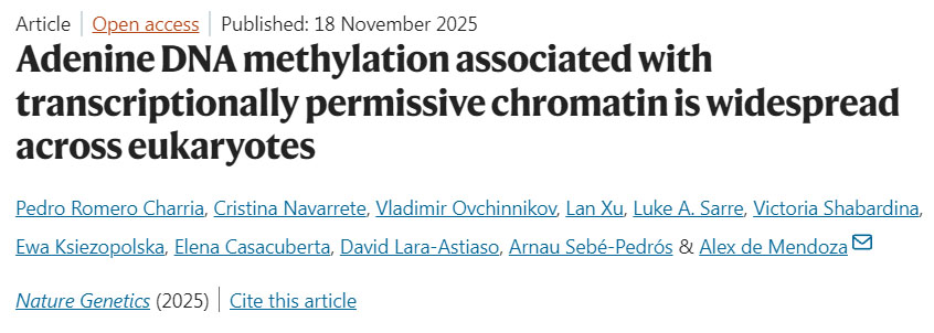 肥胖重塑脂肪組織中CD8+ T細胞的鐵代謝以加劇代謝性炎癥 肥胖重塑脂肪組織中CD8+ T細胞的鐵代謝以加劇代謝性炎癥