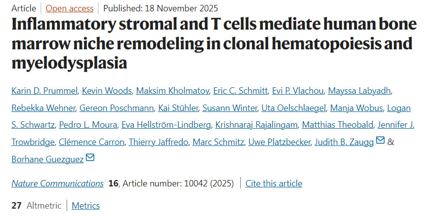 肥胖重塑脂肪組織中CD8+ T細(xì)胞的鐵代謝以加劇代謝性炎癥