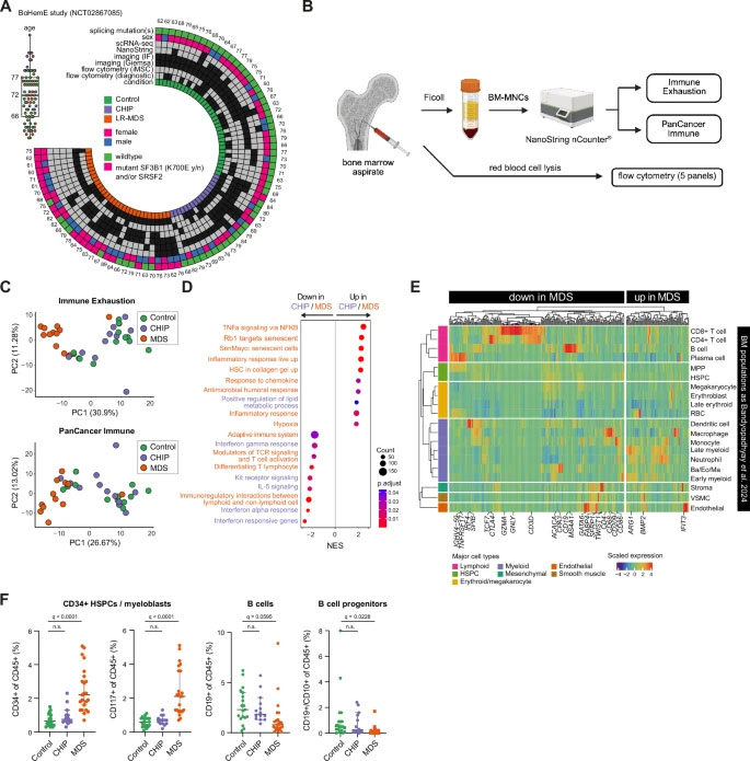 CHIP與MDS整體骨髓炎癥表達(dá)譜分析