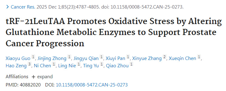 tRF-21LeuTAA通過調(diào)控谷胱甘肽代謝酶促進氧化應激從而支持前列腺癌進展