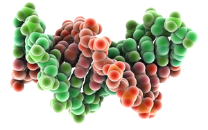 《Nature》不需要長期抗病毒治療就能控制HIV的關(guān)鍵