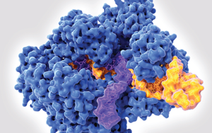 西寶生物生化診斷酶：精準(zhǔn)診斷的核心助力