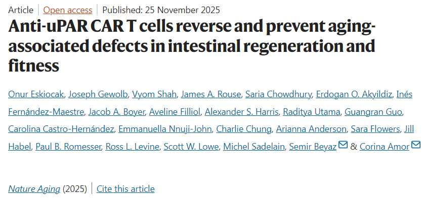 抗uPAR CAR-T細胞可逆轉(zhuǎn)并預(yù)防衰老相關(guān)的腸道再生與機能缺陷