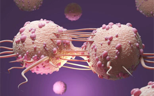 Science：首次從分子層面上解釋染色體碎裂是如何發(fā)生的