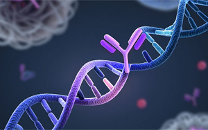 科學(xué)-轉(zhuǎn)化醫(yī)學(xué)：靶標(biāo)蛋白的遺傳變異可能影響抗體療法的效果