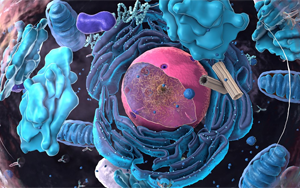 Cell Systems：細(xì)胞如何平衡其蛋白質(zhì)水平
