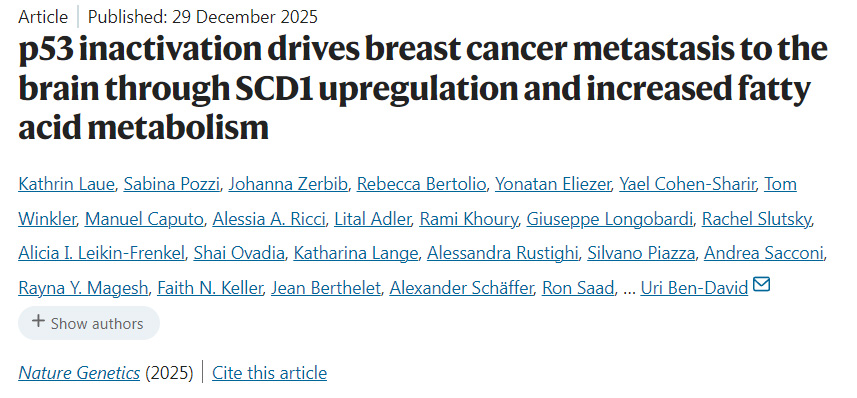 p53失活通過上調(diào)SCD1及增強脂肪酸代謝驅(qū)動乳腺癌向腦部轉(zhuǎn)移 p53失活通過上調(diào)SCD1及增強脂肪酸代謝驅(qū)動乳腺癌向腦部轉(zhuǎn)移