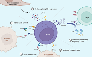 《自然免疫學(xué)》：對如何利用免疫系統(tǒng)對抗癌癥有了新的認識