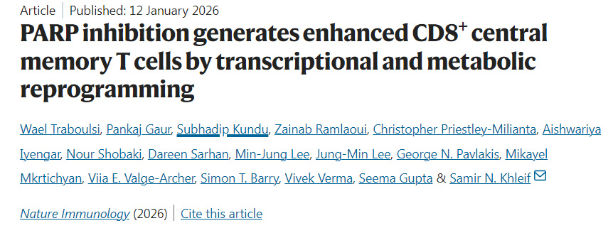 PARP抑制通過轉(zhuǎn)錄與代謝重編程促進(jìn)CD8+中央記憶性T細(xì)胞擴(kuò)增