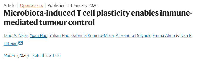 PARP抑制通過轉(zhuǎn)錄與代謝重編程促進CD8+中央記憶性T細胞擴增