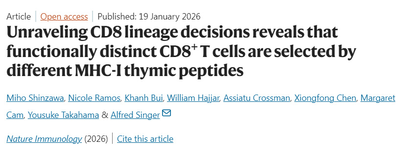 解析CD8譜系命運決定：揭示功能各異的CD8+ T細胞由不同MHC-I胸腺肽選擇形成