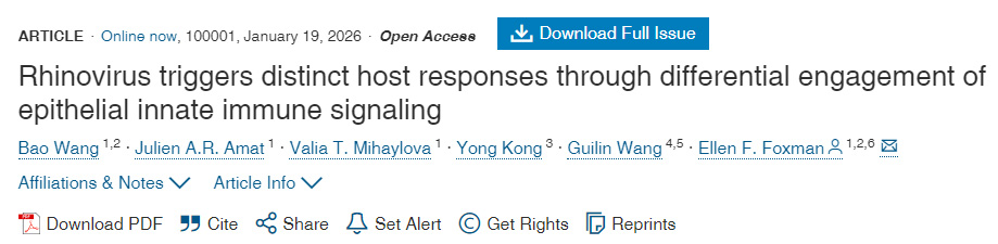 鼻病毒通過差異性利用上皮細胞先天免疫信號傳導(dǎo)機制觸發(fā)不同的宿主反應(yīng)