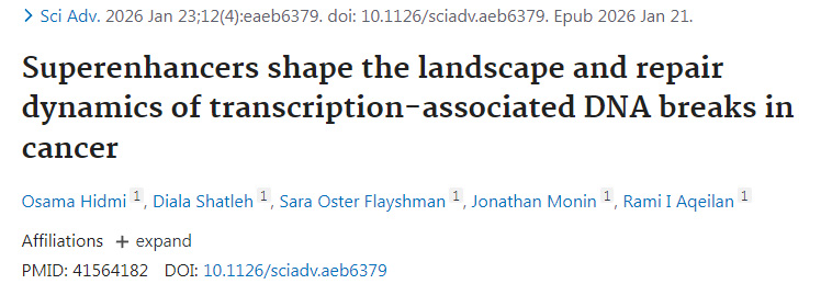超級增強子塑造癌癥中轉(zhuǎn)錄相關(guān)DNA斷裂的分布格局與修復(fù)動態(tài)