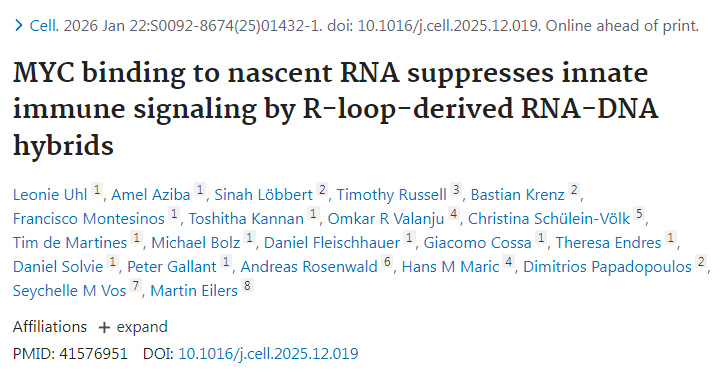 MYC與新生RNA結(jié)合通過抑制R-loop衍生的RNA-DNA雜交體來抑制先天免疫信號傳導(dǎo)