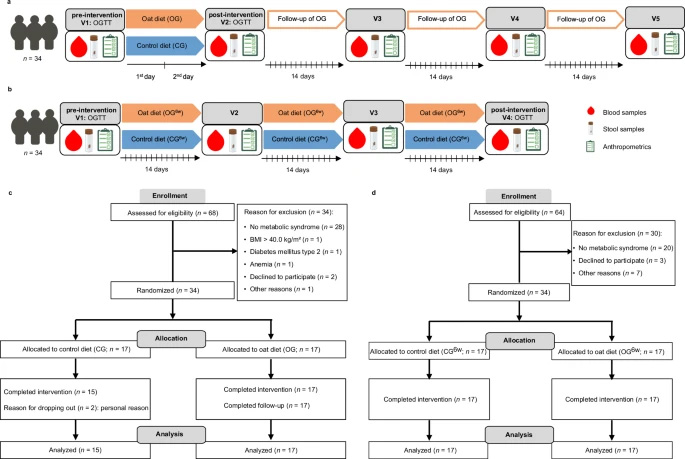 研究方案與受試者流程圖