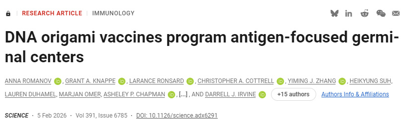 DNA折疊疫苗編程調(diào)控抗原聚焦型生發(fā)中心 DNA折疊疫苗編程調(diào)控抗原聚焦型生發(fā)中心