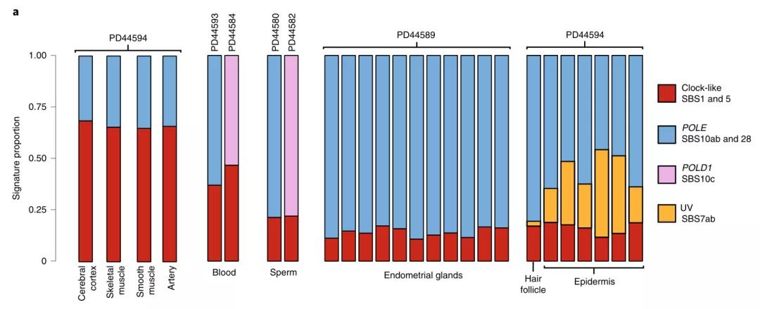 人為什么會(huì)得癌癥？《自然》子刊對(duì)體細(xì)胞、胚胎、精子測(cè)序發(fā)現(xiàn)重要基因！