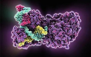 【試劑】酶與酶作用底物系列