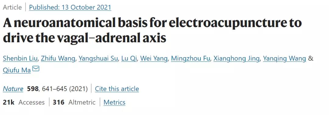 Nature：針灸不再是“玄學(xué)”！中美科學(xué)家證明針灸的神經(jīng)解剖學(xué)原理