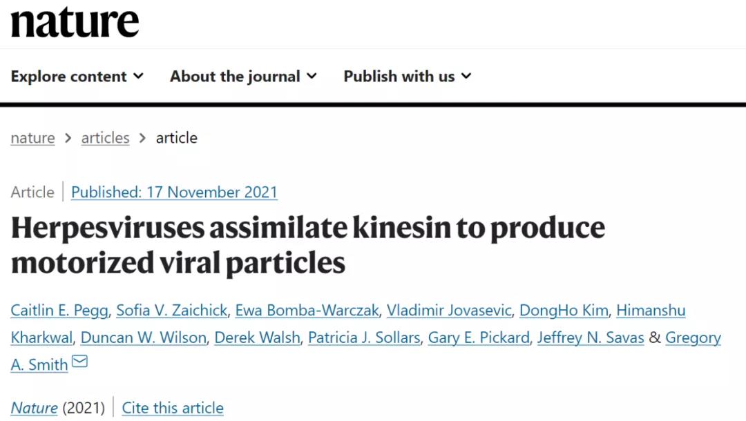 《Nature》：皰疹病毒看似“低調(diào)的青銅” ，實(shí)則“神秘的強(qiáng)者”