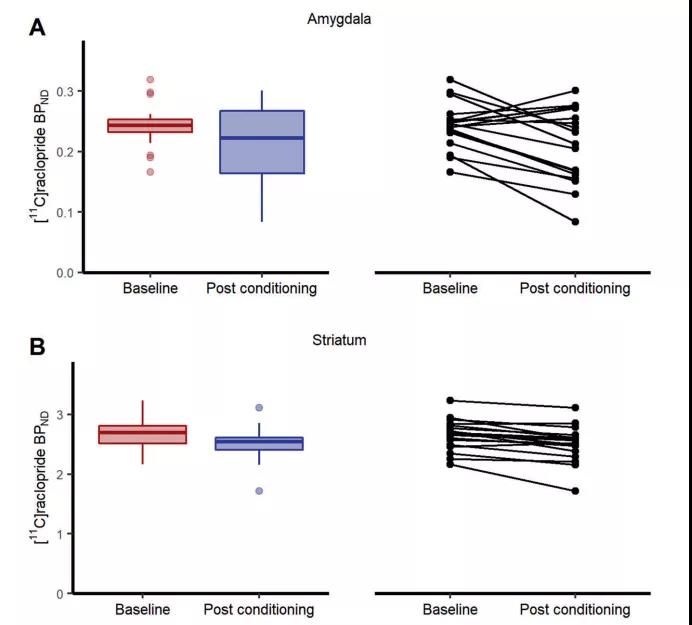 一朝被蛇咬，十年怕井繩，找到了科學(xué)依據(jù)！最新研究揭示“恐怖分子”多巴胺如何參與人類恐懼記憶形成