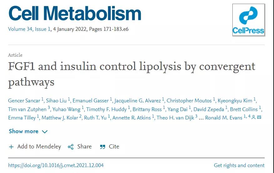 Cell子刊：糖尿病治療新突破！科學(xué)家發(fā)現(xiàn)了獨(dú)立于胰島素之外的新降糖途徑