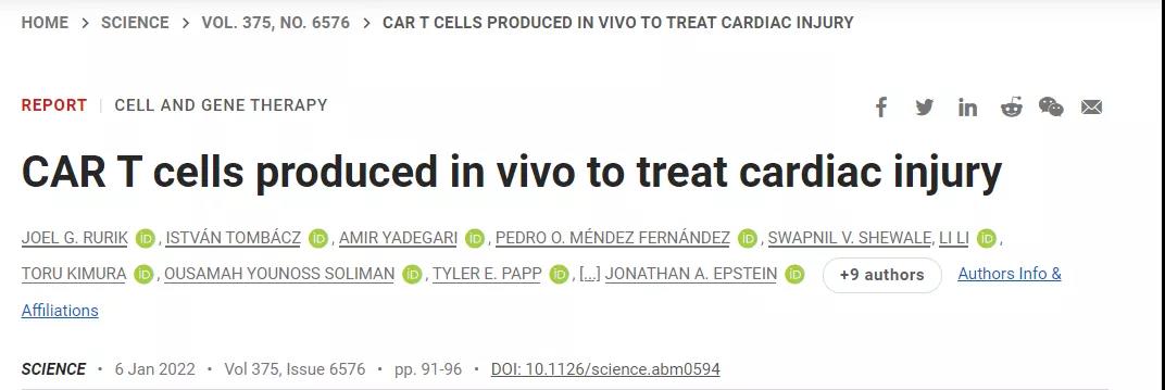 CAR-T技術再升級！無需體外編程T細胞，一針注射修復受損心臟，省錢又省心！