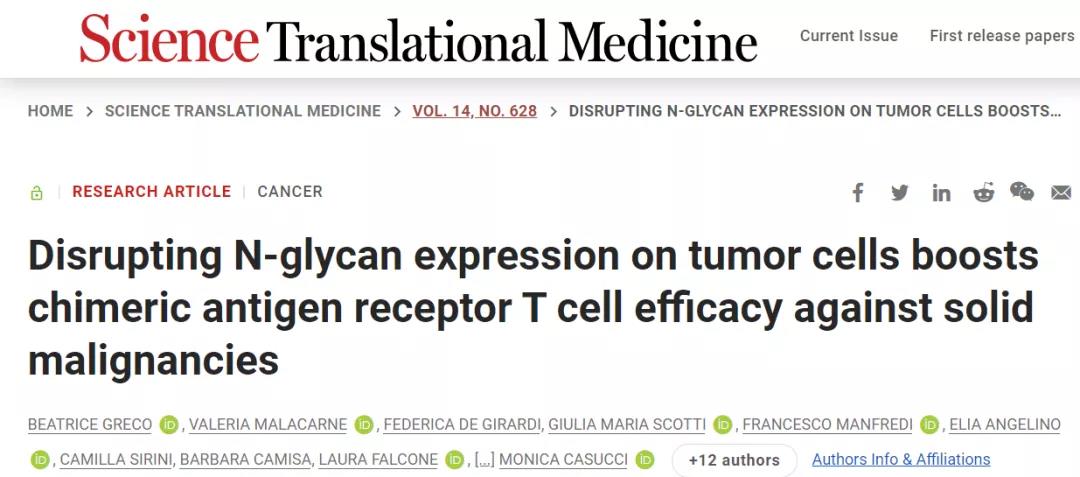 摘去腫瘤細(xì)胞的“糖衣”，CAR-T即成為“炮彈”！