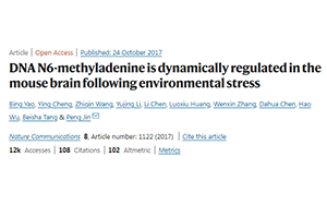 別再emo了，情緒真的能夠改變基因！