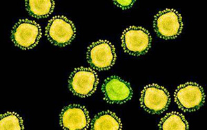 傳播速度快！新變體BA.2.12.1“風靡”北美