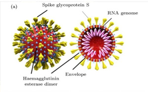 Nature：流感疫苗竟可降低90%的新冠重癥！