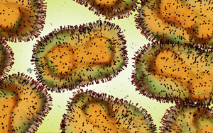 猴痘病毒檢測原料（涵蓋診斷酶、抗原、抗體），西寶生物助力猴痘檢測