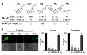 抗生素濫用問(wèn)題如何解決？Science 新研究揭示抗生素輔助抑制劑的新進(jìn)展