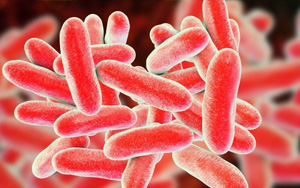 已確診19例！繼新冠和猴痘之后，美國(guó)軍團(tuán)病疫情來(lái)勢(shì)洶洶