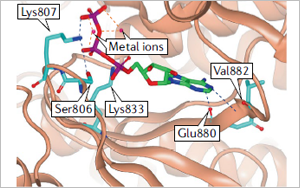 Nature子刊：PI3K抑制劑即將迎來(lái)大爆發(fā)