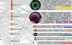 極端高溫只是開始，更致命的警告在后面：58%人類病原體獲得強(qiáng)化