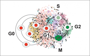 癌細(xì)胞殺不完？不如試試將腫瘤“永久休眠”！