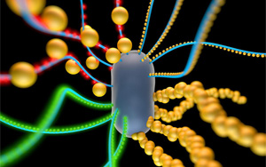 《Nature》創(chuàng)造具有逼真功能的人工細(xì)胞！